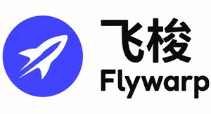 飞梭机场